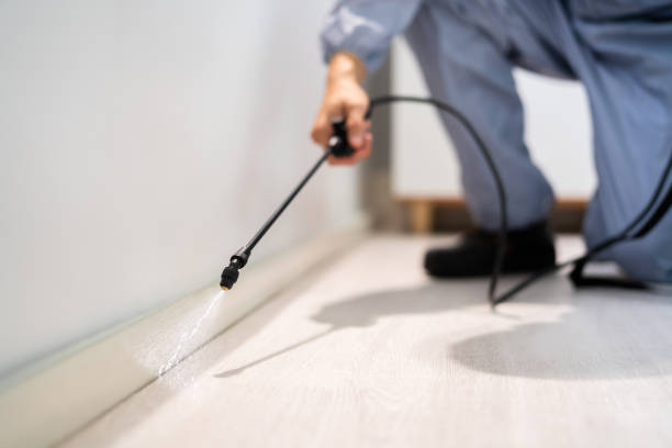 Licensed Termite Control service in Wallace, LA - Nex Pest Control