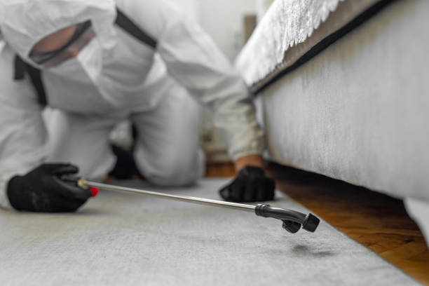 Professional Termite Control technician working in Wallace, LA