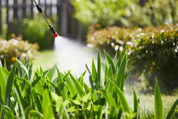 24/7 Emergency Termite Control experts in Wallace, LA