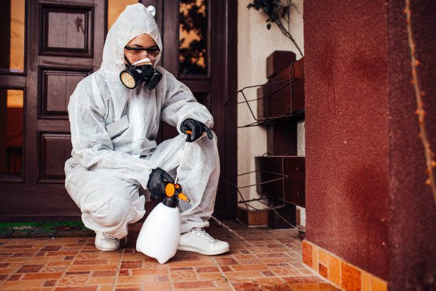 Reliable Termite Control contractor in Wallace, LA by Nex Pest Control