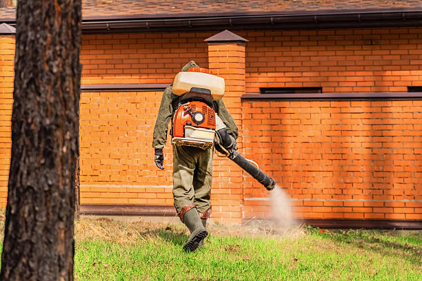 Top rated local Termite Control specialists in Wallace, LA